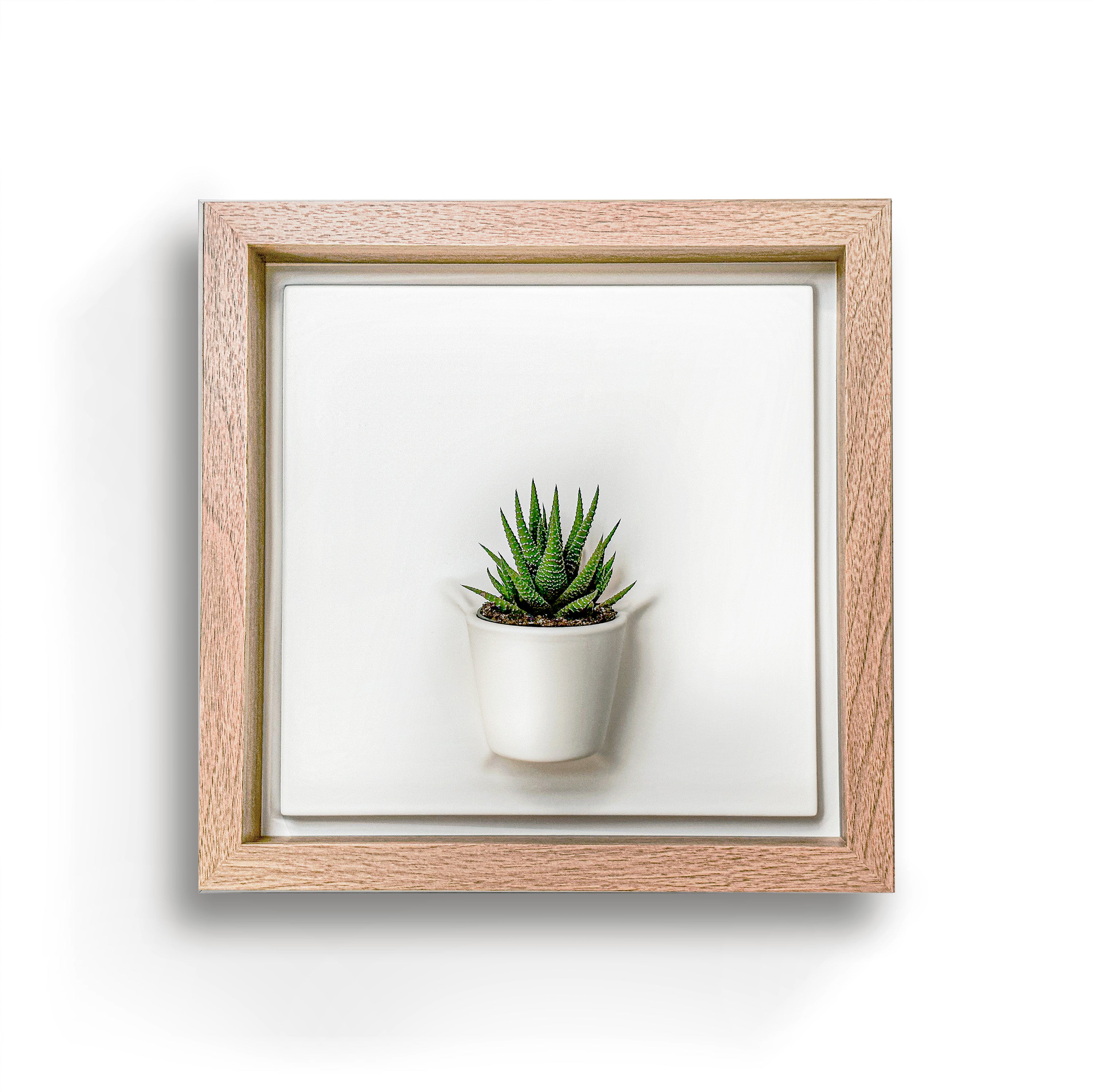 Plant on a Wall - Oak Frame