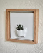 Load image into Gallery viewer, Plant on a Wall - Oak Frame
