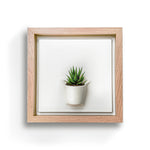 Load image into Gallery viewer, Plant on a Wall - Oak Frame
