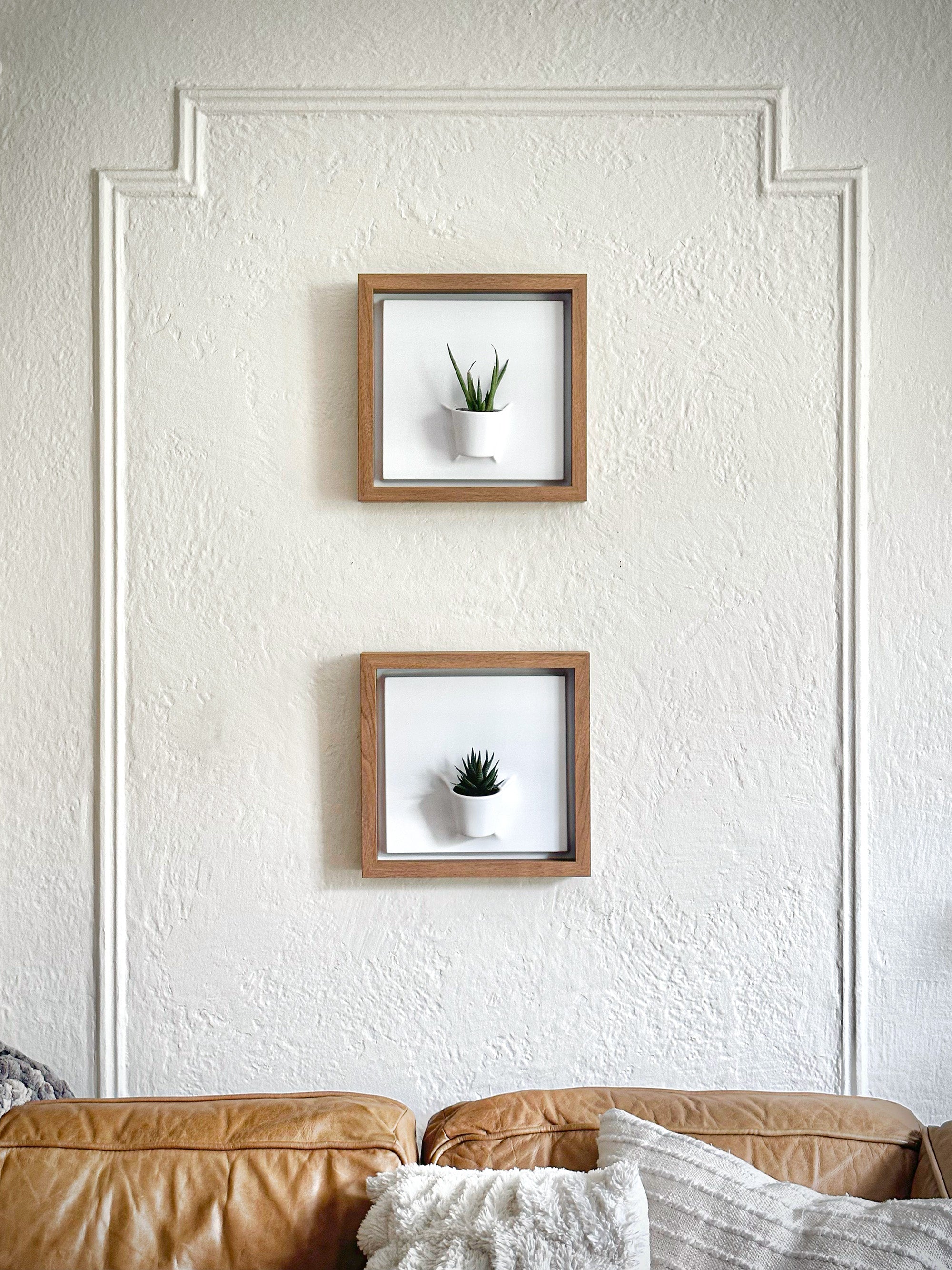 Plant on a Wall - Oak Frame