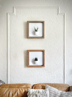 Load image into Gallery viewer, Plant on a Wall - Oak Frame
