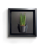 Load image into Gallery viewer, Plant on a Wall - Spike (Black)
